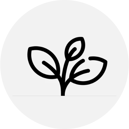 files/hecho.webp